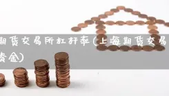 上海期货交易所杠杆率(上海期货交易所要多少资金)